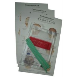 Láminas Craneopuntura